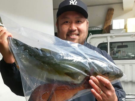 ヒラマサ釣果報告