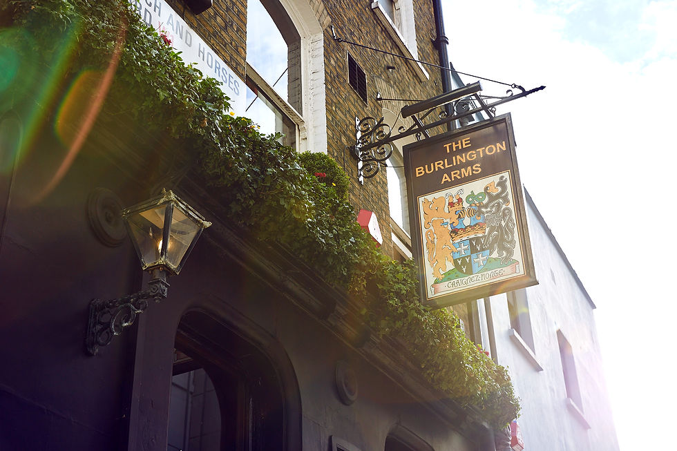 ME PLUS ONE: THE FIRST MEET UP