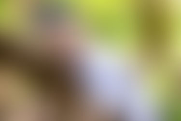 Unleashing Creativity Outdoors: The Benefits of Outdoor Learning