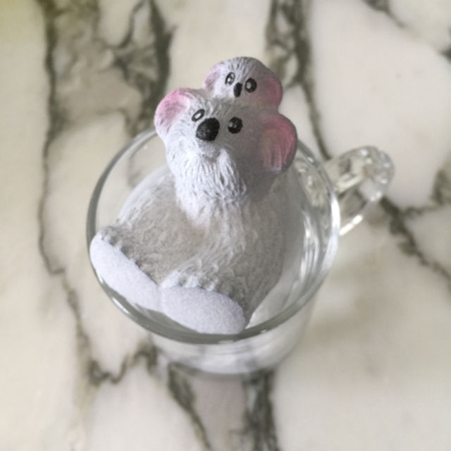 Thumbnail: Koala Hatching Egg