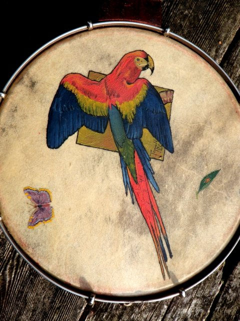 Thumbnail: 1926 Banjo Ukulele - Painted Parrot, signed