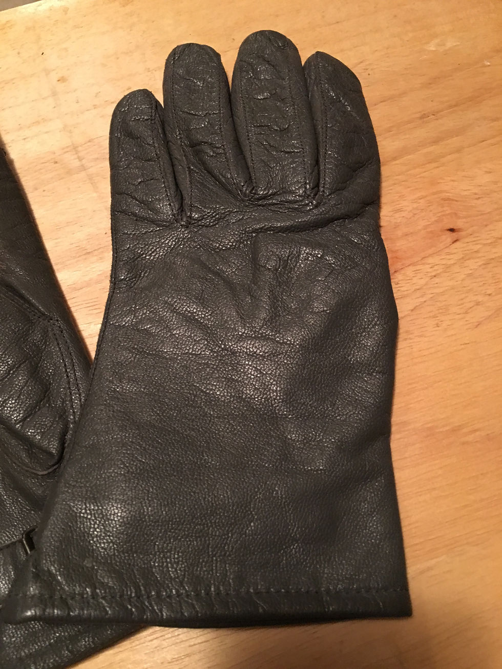 Thumbnail: European military surplus pilots gloves