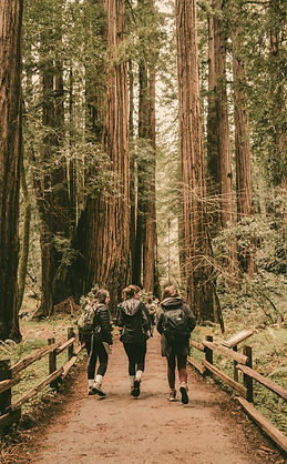 pexels-airamdphoto-15888927_edited.jpg