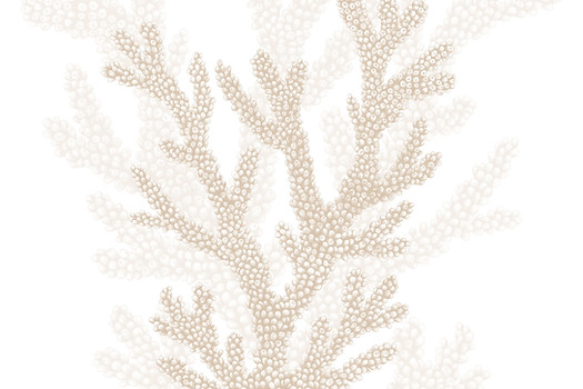 papier peint CORAIL-beige acte déco luluaucrayon