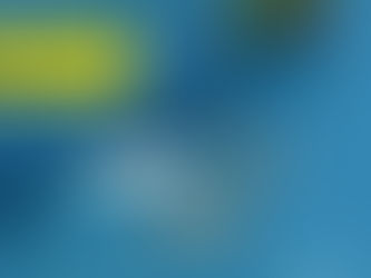 Restaurant Lapel Pin – A Symbol of Elegance and Professional Identity