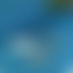 Indian Flag Pins – A Timeless Symbol of Pride and Patriotism