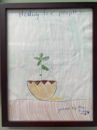 Child's Drawing of a sprouting egg
