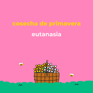 Eutanasia: 65% de la población apoya el proyecto de ley para una “muerte digna”