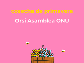 Percepción ciudadana sobre la presencia del presidente Orsi en la ONU: alto conocimiento, opiniones divididas