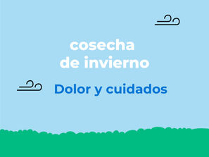 Sentir y cuidar: qué significa el dolor y qué se espera del cuidado