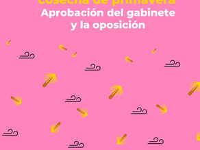 Ellas marcan la diferencia: evaluación positiva para las ministras