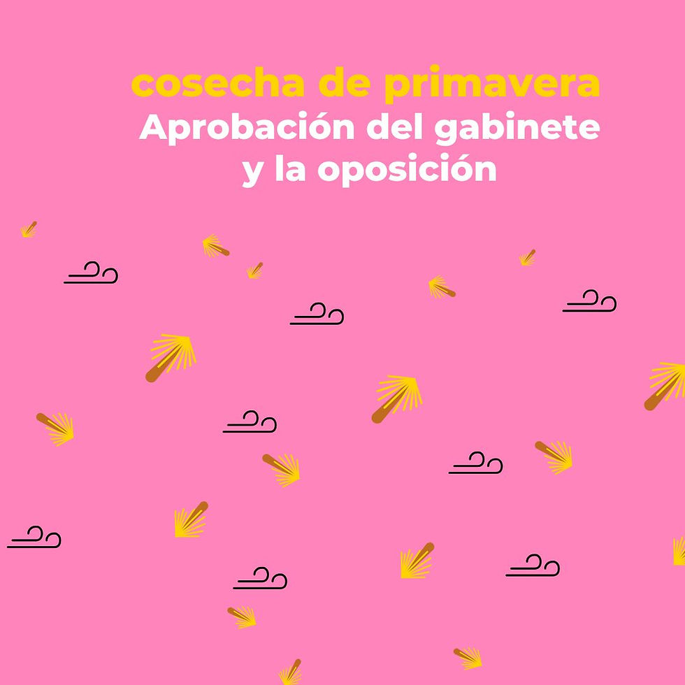 Ellas marcan la diferencia: evaluación positiva para las ministras