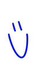 IMG_1463.PNG