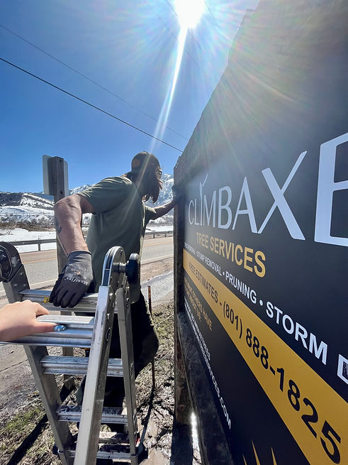 Climbaxe tree service sign on old highway road in morgan utah