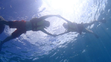 ゴリラチョップ・シュノーケル