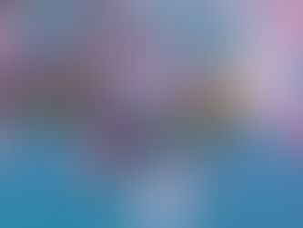 午後からシュノーケル