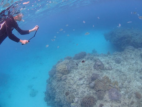 マンツーマンでシュノーケリング