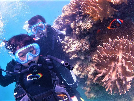 親子で体験ダイビング