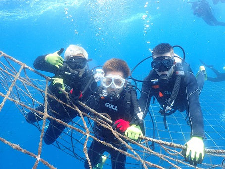 ジンベイザメ体験ダイビング