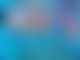 シュノーケルデビュー