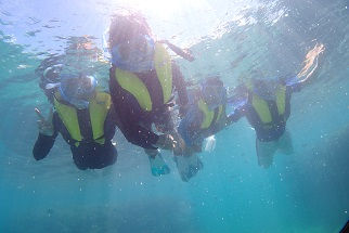 シュノーケリングしてきました