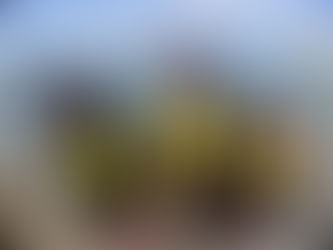 ビーチシュノーケル