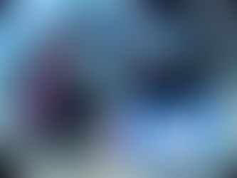 カップルダイビング