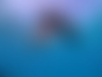 シュノーケリング☆