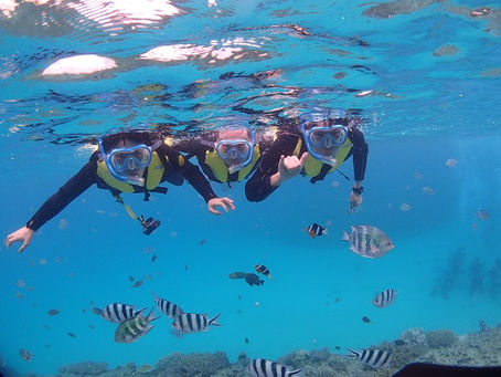 シュノーケリングinゴリチョ