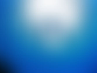 家族でシュノーケリング