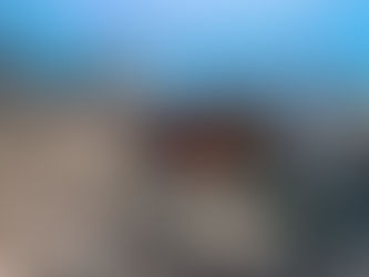 クマノミシュノーケリング☆