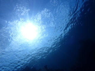 海の上でお昼寝!?