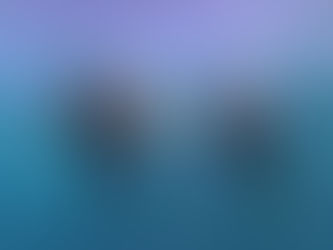 ゴリラチョップシュノーケリング