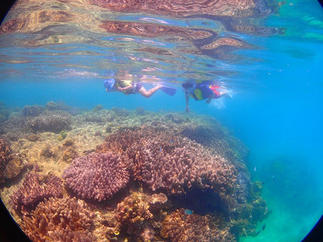 久しぶりのゴリチョ(^O^)/