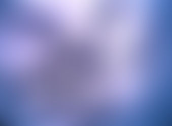 ゴリラちょーーぷ