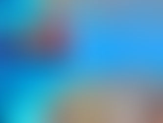 ゴリラチョップシュノーケル