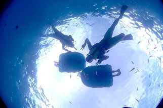 ゴリラチョーップ