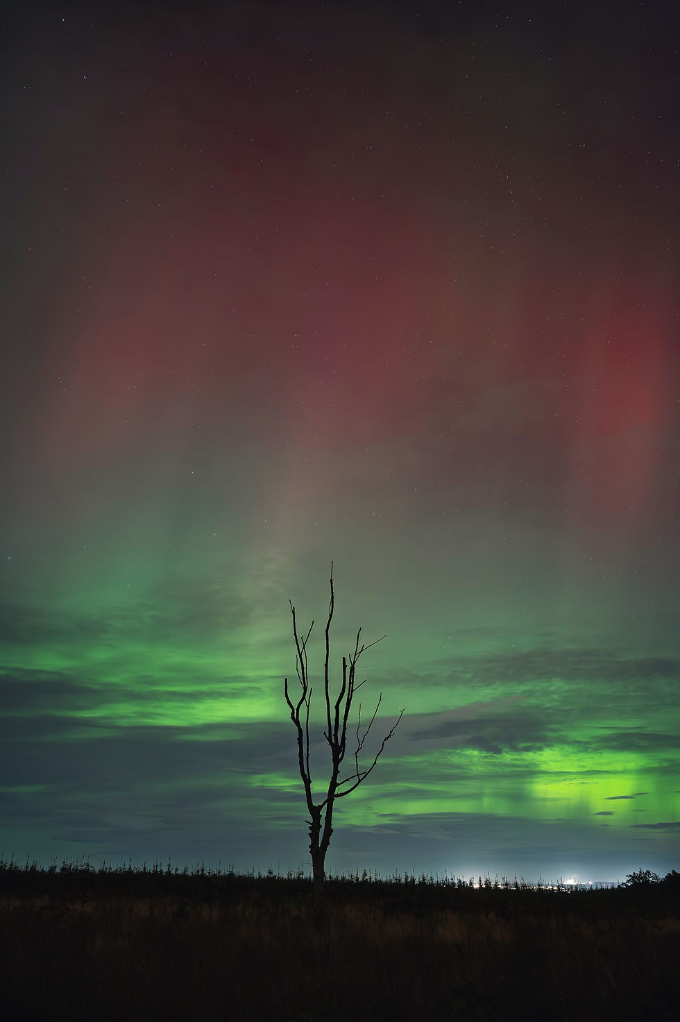 green-red-northern-lights-lone-tree-field-beecraigs-country-park-scotland.jpg