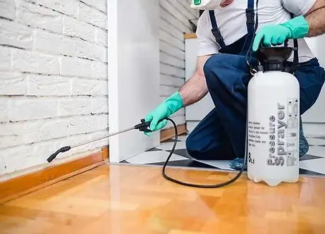 household-pest-control-services-500x500.webp
