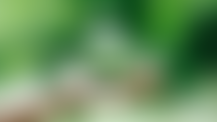 Mais um passo rumo à tangibilidade no cumprimento do nosso Plano Clima: agora temos um SBCE! SBCE, Clima, Emissões, Investimentos, Restrições