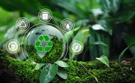 Consumo consciente, percepção cidadã! Consumo Consciente, Responsabilidade Ambiental, Desenvolvimento Sustentável, Descarte Irregular, Conservação Ambiental.