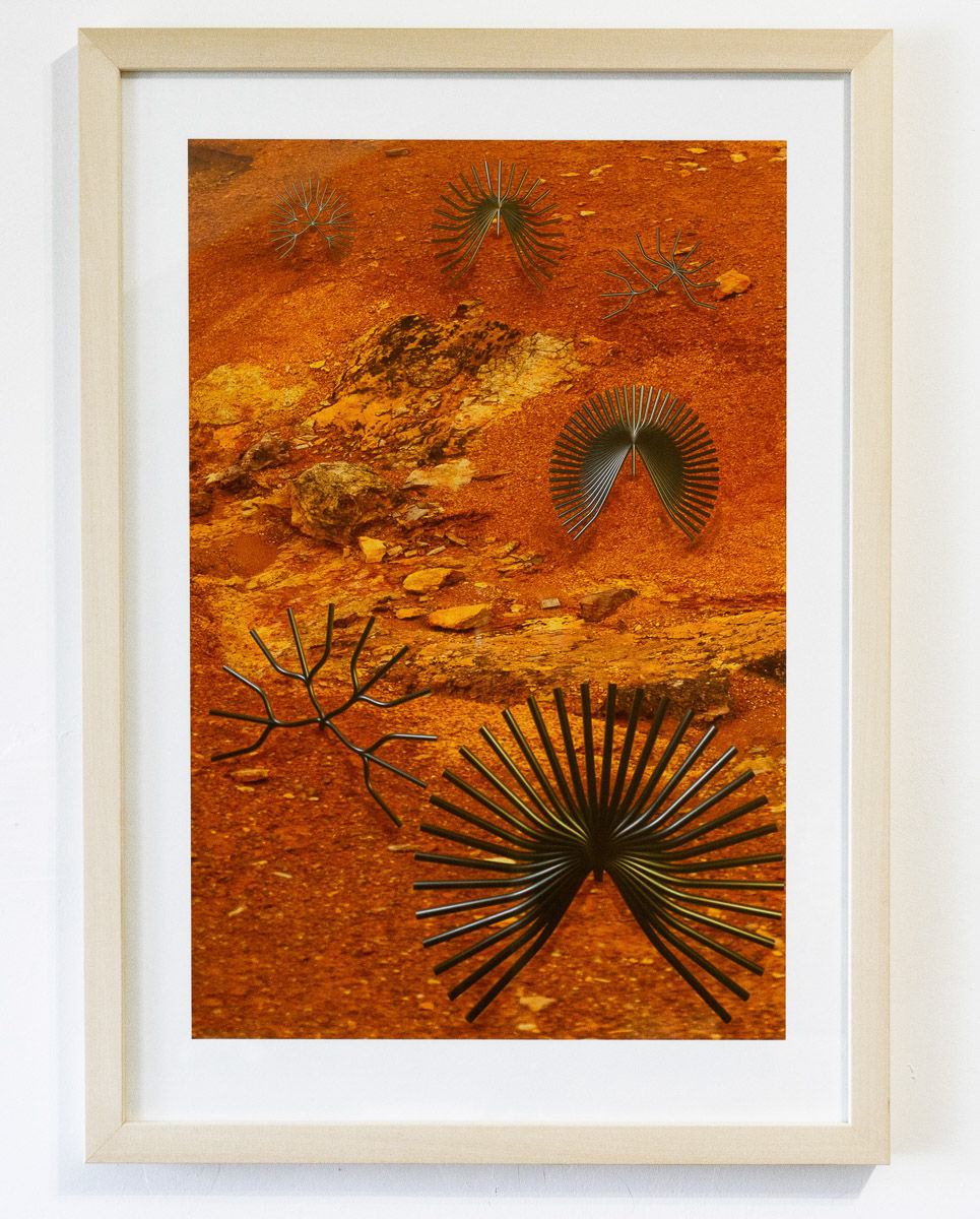 Harmati Kitti Klaudia: Curiosity – giclee print, 2021, kepzo.art