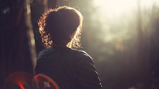 Introduction to Developmental Resilience