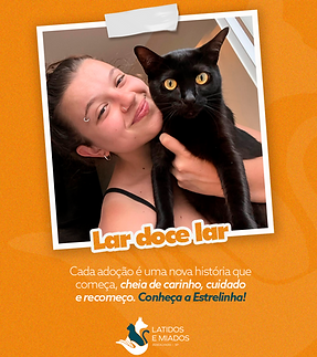 Latidos-02 (1).png