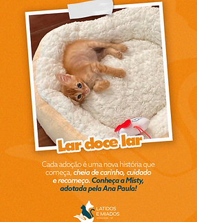 Latidos-04.png