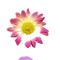 image-450w-77603776_edited_edited.png