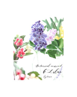 Ⅰ-Ⅵ:Lilac