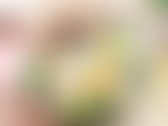 ✤オーダー✤花材いっぱい♡粘土とドライフラワーとのコンビリース完成です