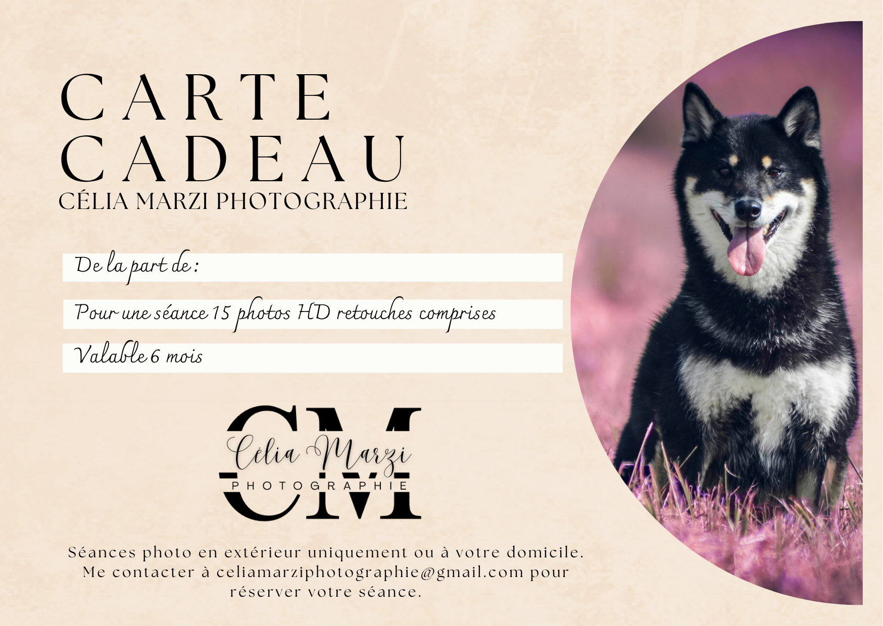 SÉANCE 15 PHOTOS - MODÈLE CHIEN