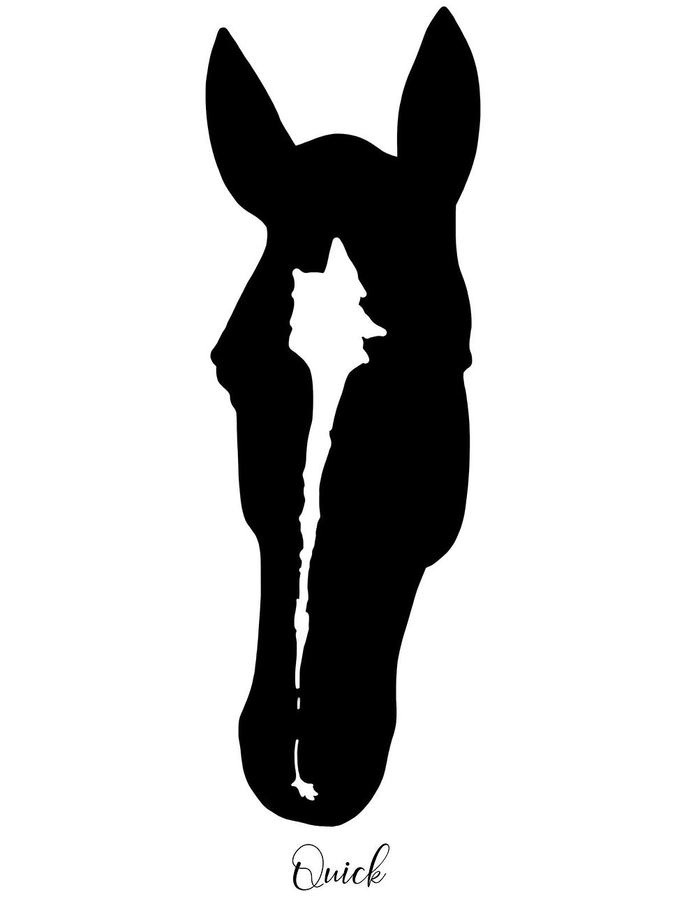 Miniature : SILHOUETTE CHEVAL X3